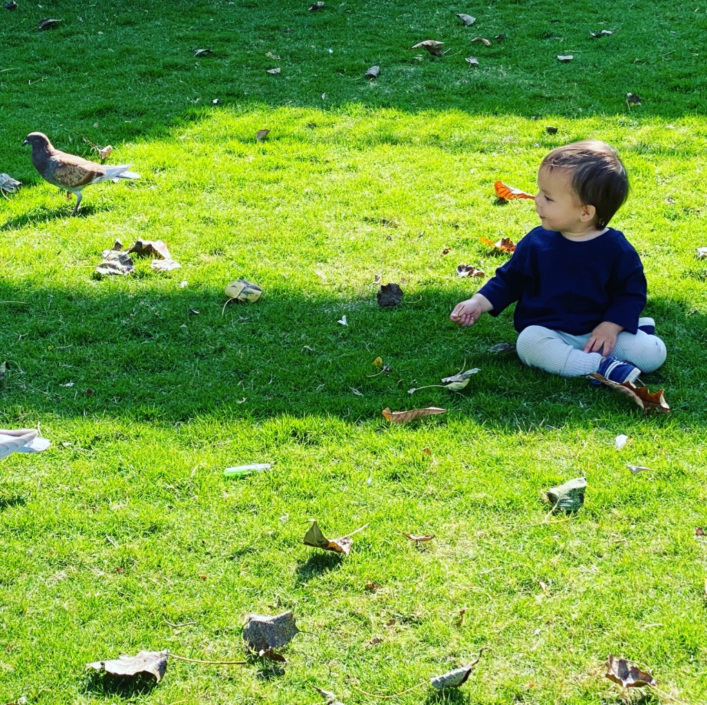 六歲、邊界感、夏季迪斯可